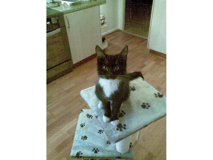 {{currentPhoto.altText}} billede {{currentPhoto.number}}