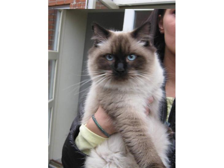 {{currentPhoto.altText}} billede {{currentPhoto.number}}