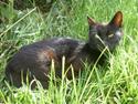 Blanding af racer Vinters Missemor *R.I.P*