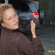 Blanding af racer Kisser