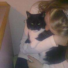 Blanding af racer Missi :D <3