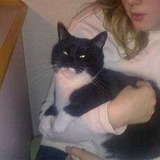 Blanding af racer Missi :D <3