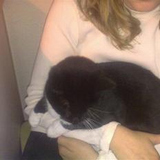 Blanding af racer Missi :D <3