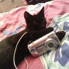 Blanding af racer Darth Vader aka Miv