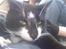 Huskat |Adonis "fat cat"