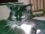 Maine Coon DK Samicoon Hungry lion