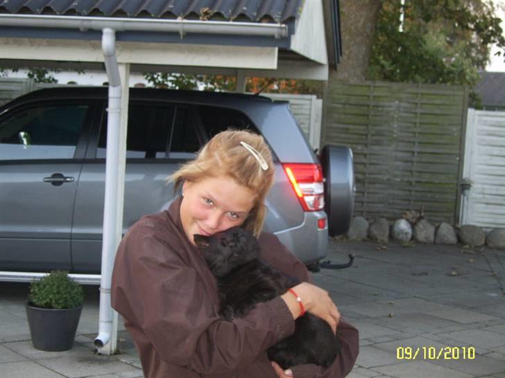 Blanding af racer Kisser billede 6