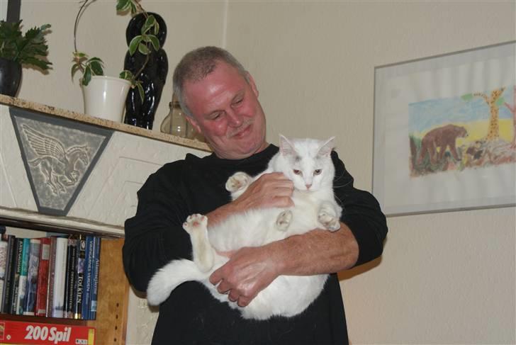 Blanding af racer Bette AKA Wannabe Garfiel - Farmand og Betten billede 2