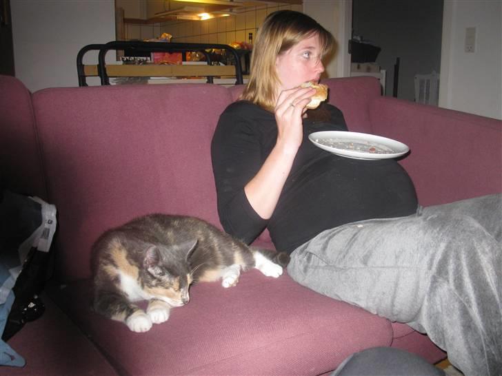 Huskat Thetis billede 18