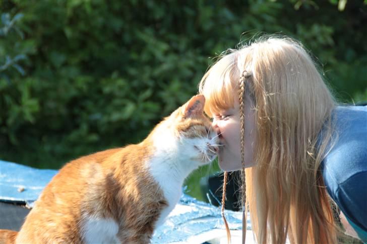 Huskat Dragon R.I.P 23/4-2014 billede 9