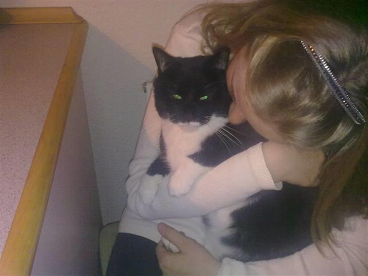 Blanding af racer Missi :D <3 billede 1