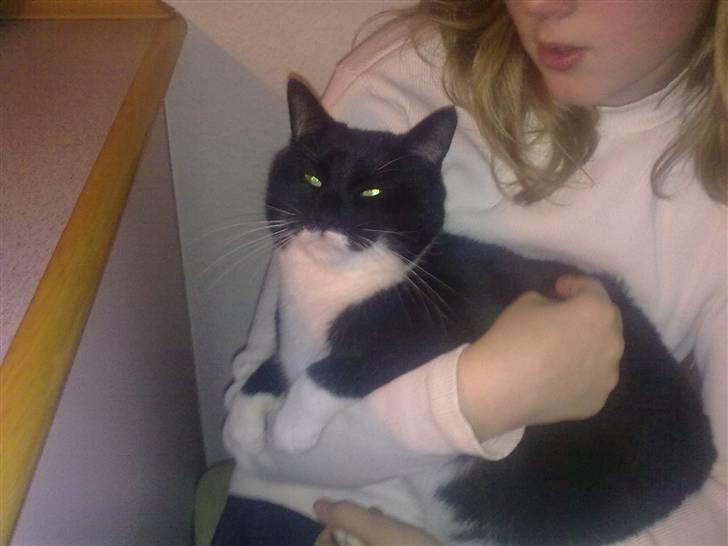 Blanding af racer Missi :D <3 billede 2