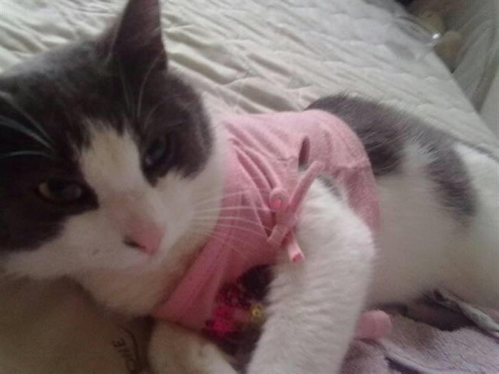 Huskat Mulle - Er jeg ikke sød. billede 7