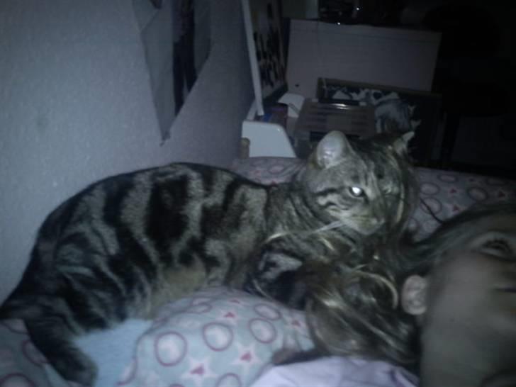 Huskat Magnus<33 - Magnus og Nina putter<3 billede 19