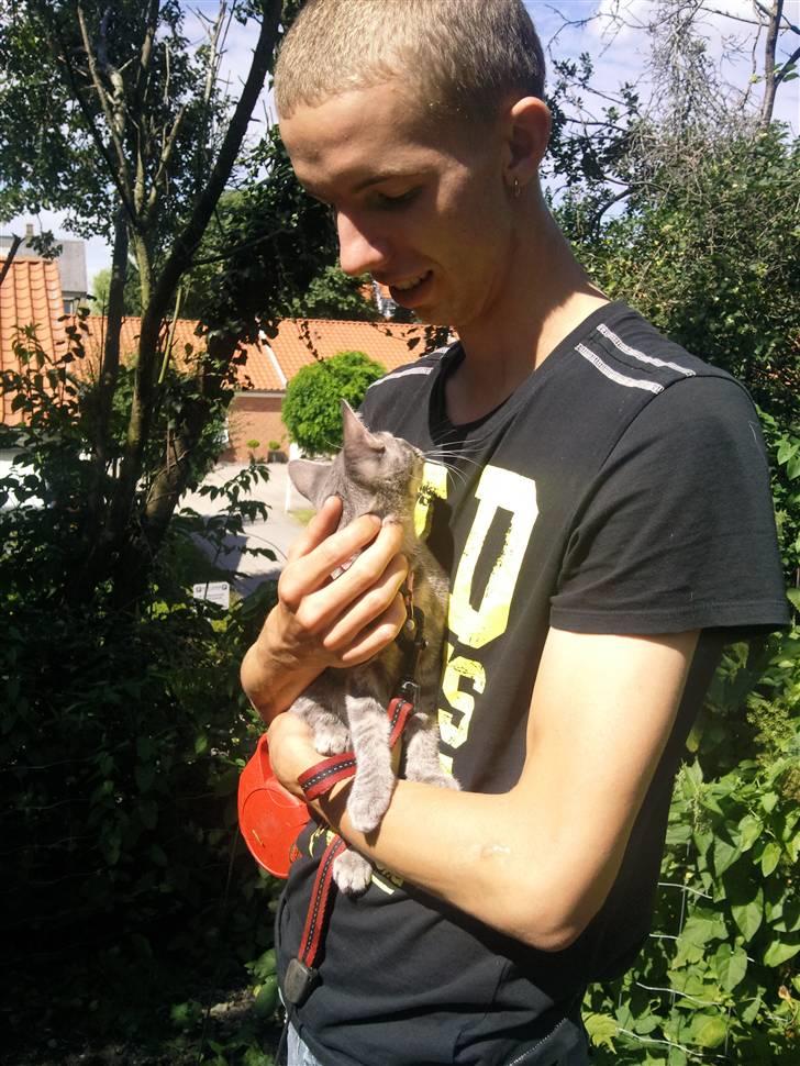 Blanding af racer Gin billede 3