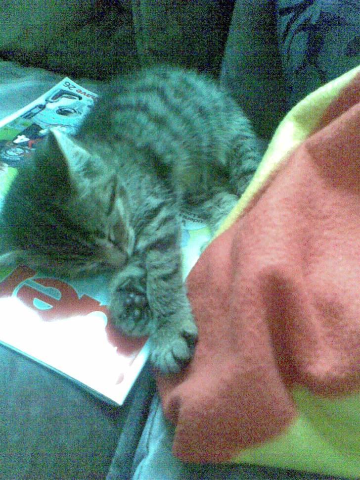 Huskat Moto (; - jeg sover, lad mig så være :D billede 5