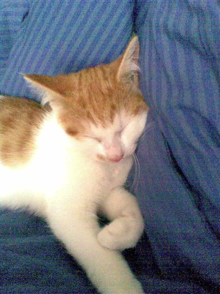 Huskat Kom med et navn :) - Godnat mor. og stop så de billeder (; billede 2