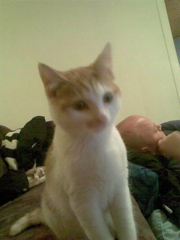 Huskat Kom med et navn :) - Kooooooooom nu! ;D billede 4