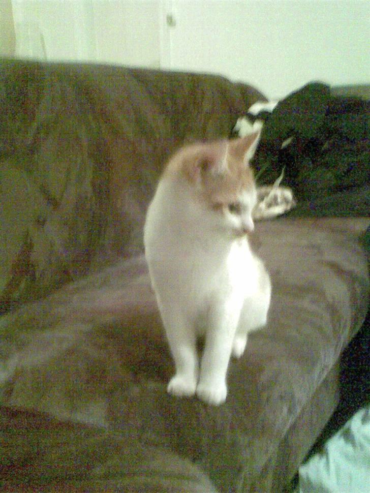 Huskat Kom med et navn :) - Nu nu nu, nej nu går jeg altså ;) billede 5