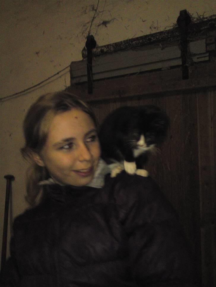 Blanding af racer Vinters Donnatella - Selskabspapegøjen og min bedste veninde :) billede 8