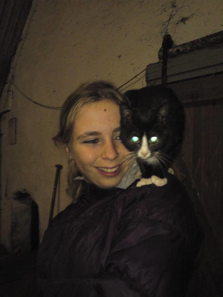 Blanding af racer Vinters Donnatella - Selskabspapegøjen og min bedste veninde :) billede 9