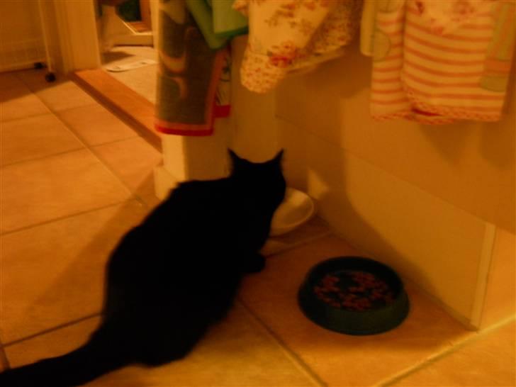 Huskat Bella<3<3<3 billede 8