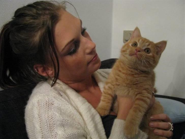 Blanding af racer Oliver billede 13