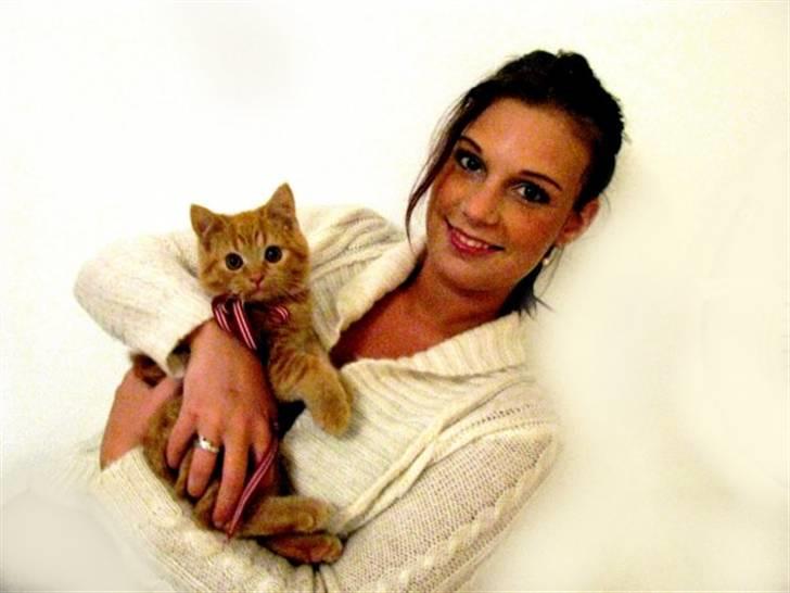 Blanding af racer Oliver billede 18