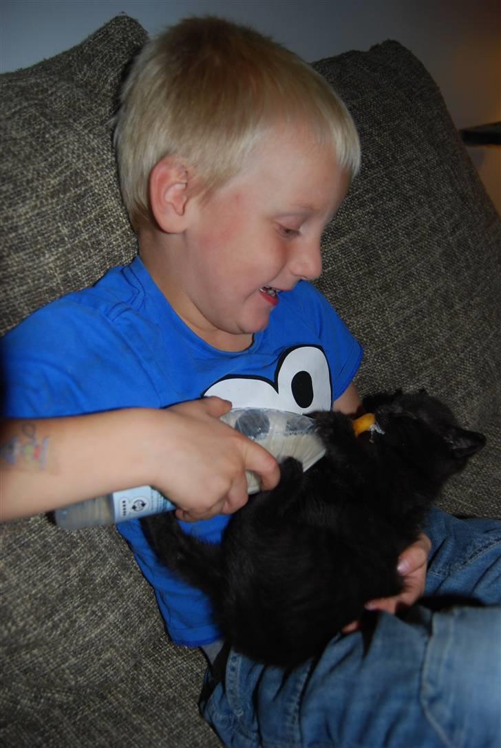 Huskat SILAS billede 3