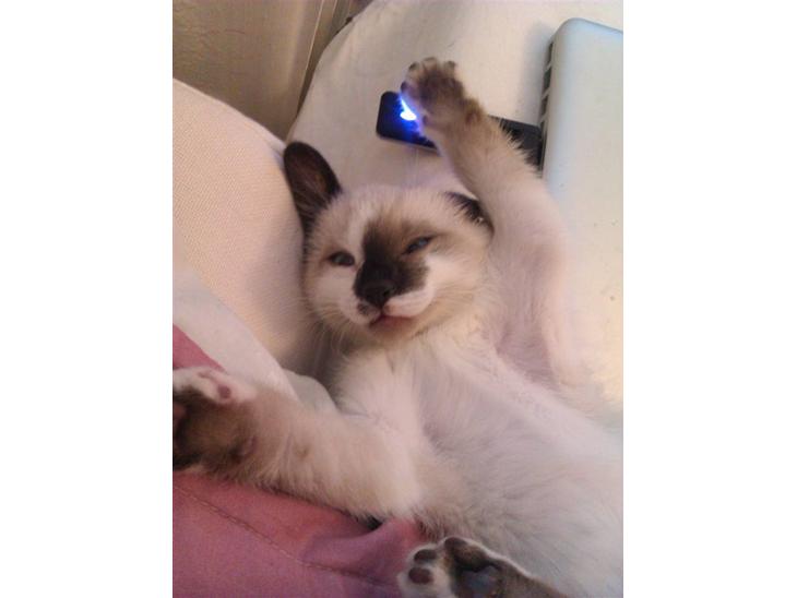 {{currentPhoto.altText}} billede {{currentPhoto.number}}