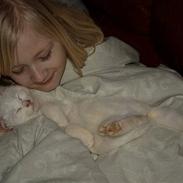 Blanding af racer Loui *R.I.P.* :'(