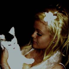 Blanding af racer Gizmo