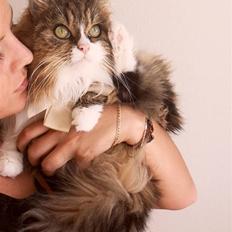 Blanding af racer Missi EFTERLYST