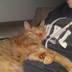 Blanding af racer Nike