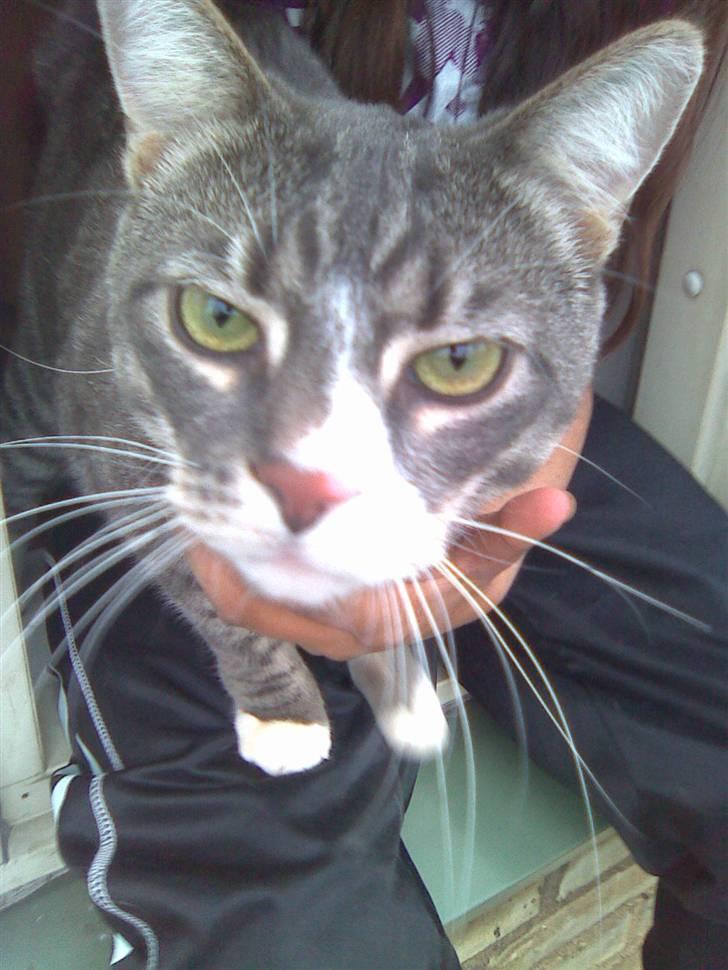 Huskat fuzzy billede 1