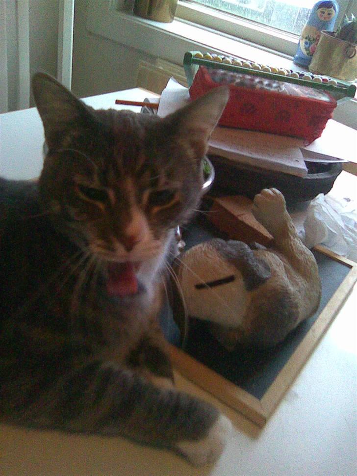 Huskat fuzzy billede 5