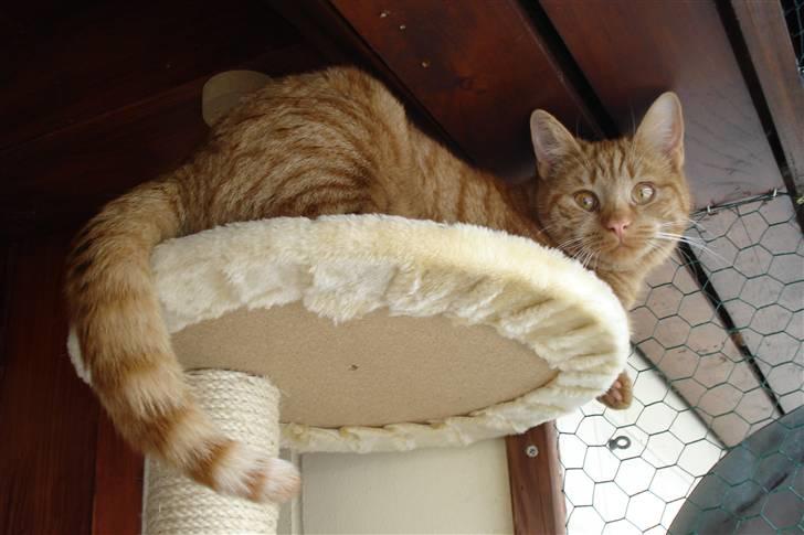 Europé IC. DK*Boholdt Super Karla - Dejligt udsigt! billede 14