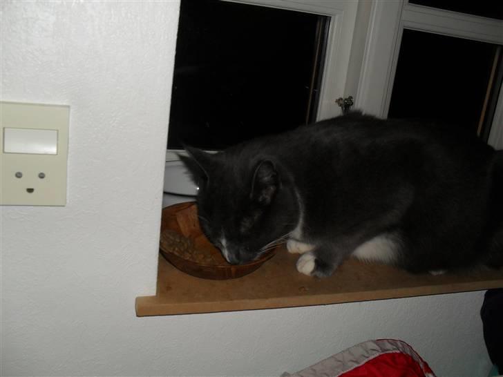 Huskat Disel(MIN SØSTERS) billede 8