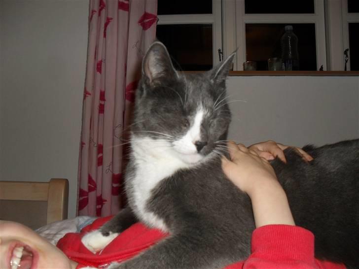 Huskat Disel(MIN SØSTERS) billede 9