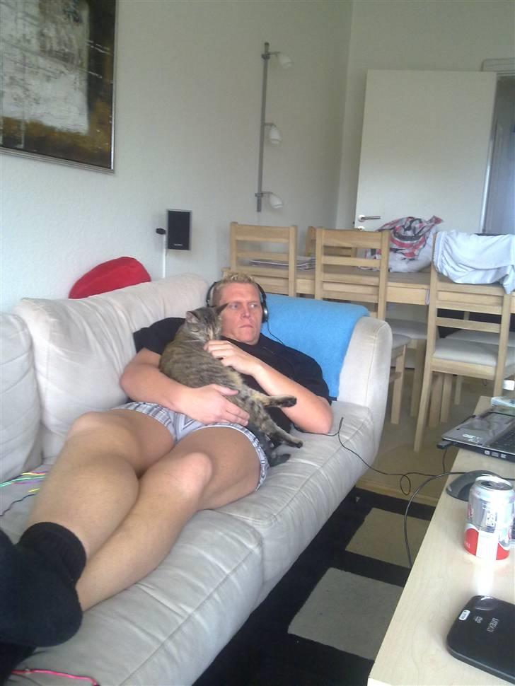 Huskat Kinni billede 5