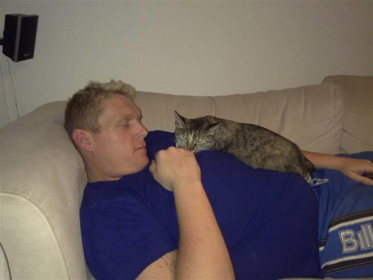 Huskat Kinni billede 6