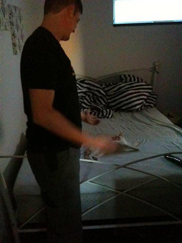 Huskat Nikoline billede 5