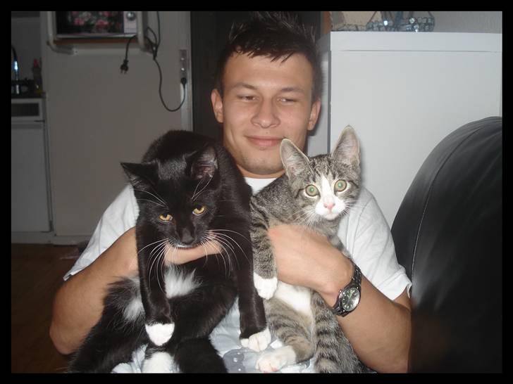 Huskat Batman (Bruce Wayne) - Min far, Joker og jeg :-) billede 9