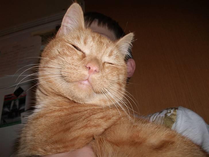 Huskat Jean billede 1