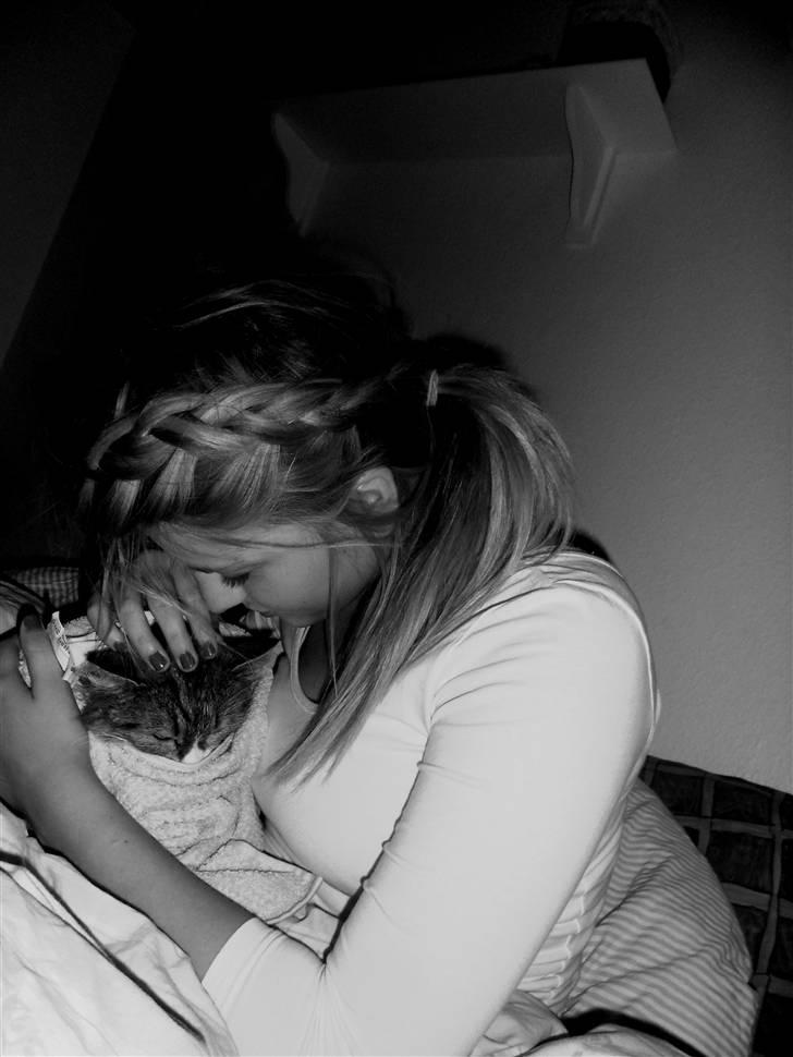 Blanding af racer Missi EFTERLYST - mislingen har lige været i bad <3 billede 9