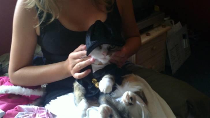 Huskat vivi - Så har vivi fået stævne tøj på :P billede 11