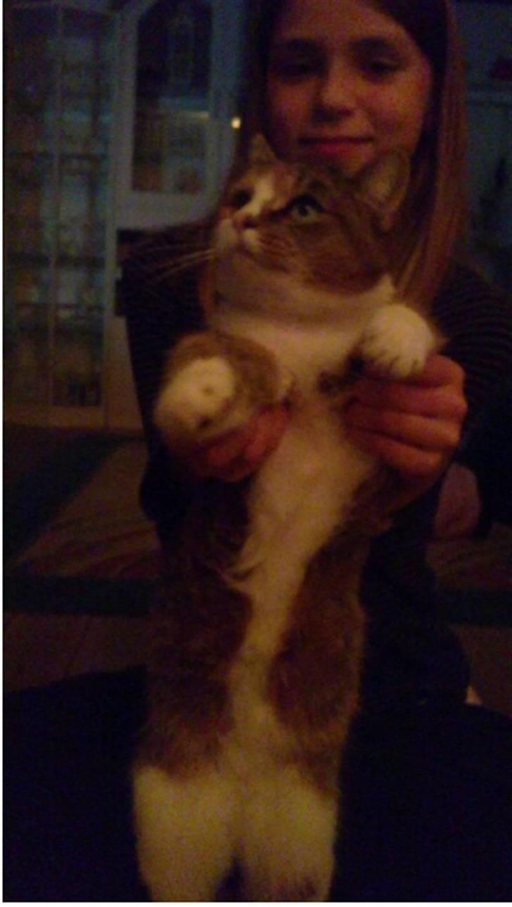 Huskat vivi - Tak fordi at i kiggede på vivi´s profil :) Læg meget gerne en kommentar :D billede 14