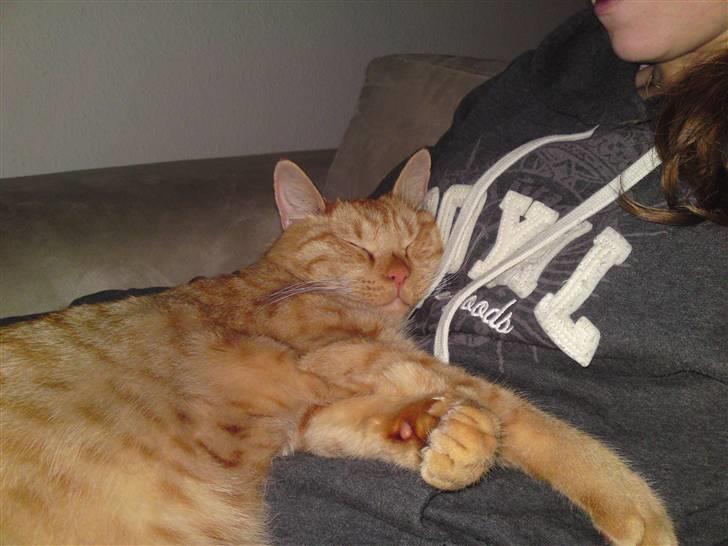 Blanding af racer Nike - mor´s dejlige Nike <3 som slapper helt af billede 3