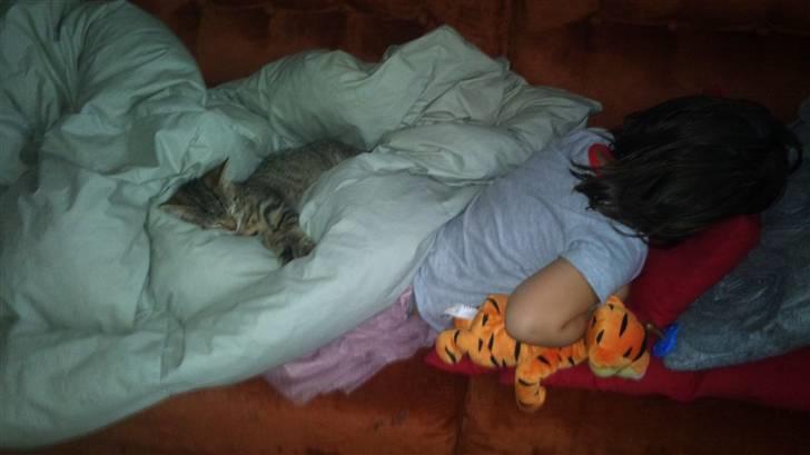 Huskat Pelle - her putter jeg sammen med mette niece Sidsel på sofaen  billede 4