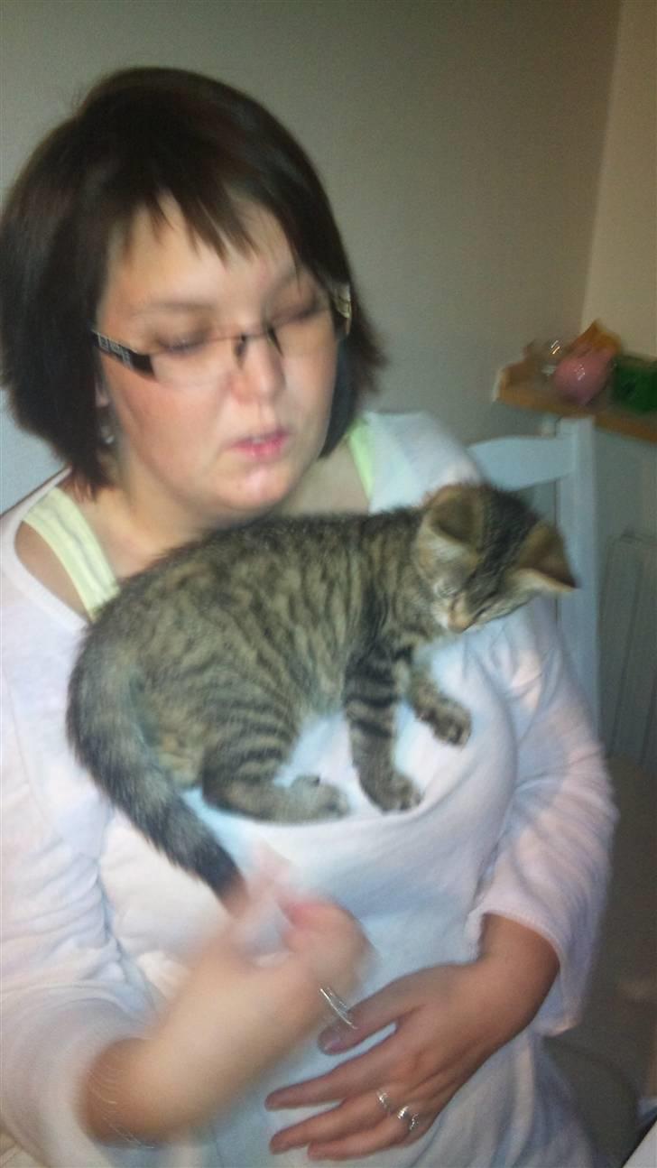 Huskat Pelle - jeg er glad for mettes storsøster det nusser mig  billede 10